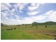 Elderslie NSW 2335