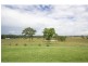 Elderslie NSW 2335