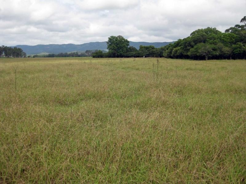 Lot 1,2 & 3 Congewai Road, Congewai NSW 2325