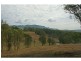 L320 Marrowbone Road, Pokolbin NSW 2320