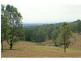 L320 Marrowbone Road, Pokolbin NSW 2320