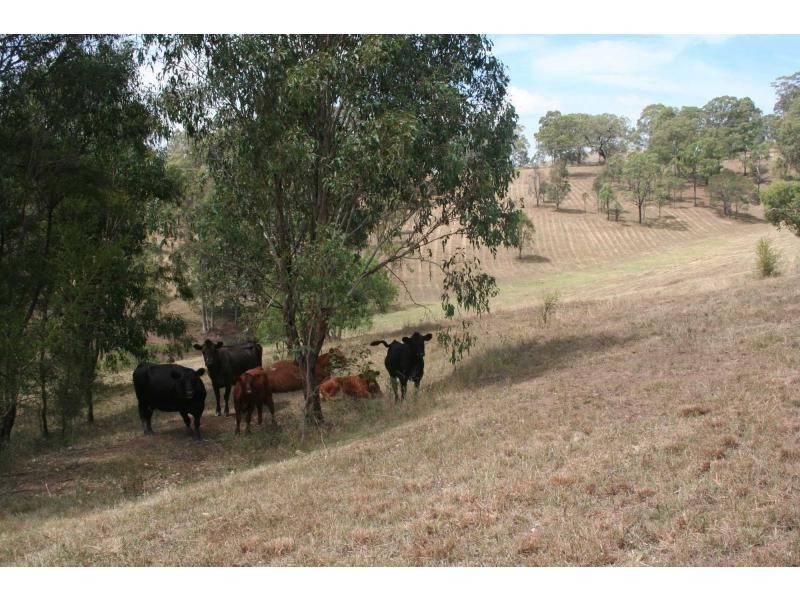 L320 Marrowbone Road, Pokolbin NSW 2320