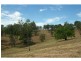 L320 Marrowbone Road, Pokolbin NSW 2320