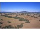 310 Oakey Creek Road, Pokolbin NSW 2320