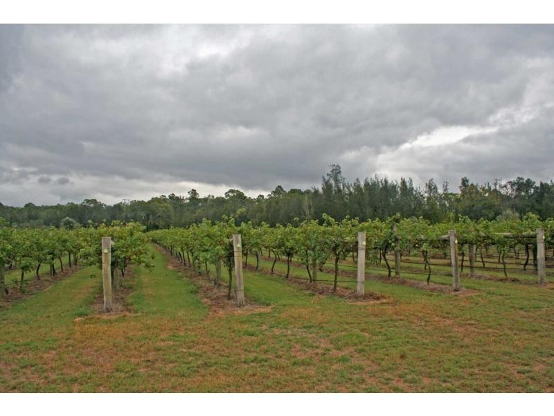 1 Old North Road, Pokolbin NSW 2320