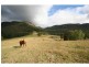 Mount Vincent NSW 2323