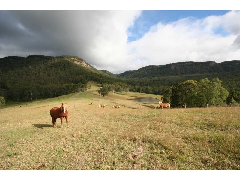 Mount Vincent NSW 2323