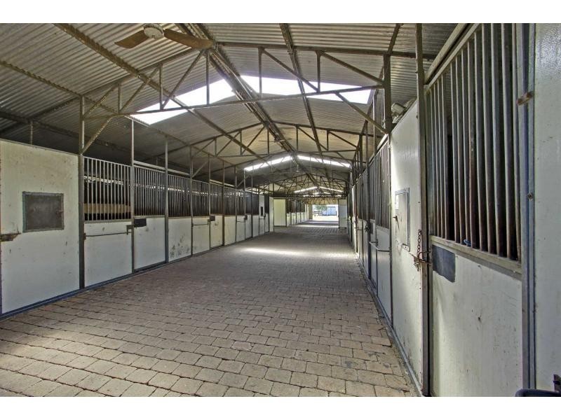 135 Windemere Road, Lochinvar NSW 2321