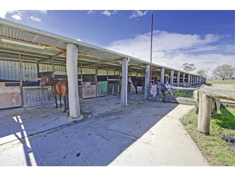 135 Windemere Road, Lochinvar NSW 2321