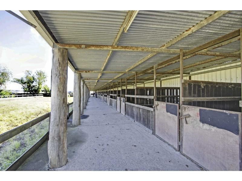 135 Windemere Road, Lochinvar NSW 2321