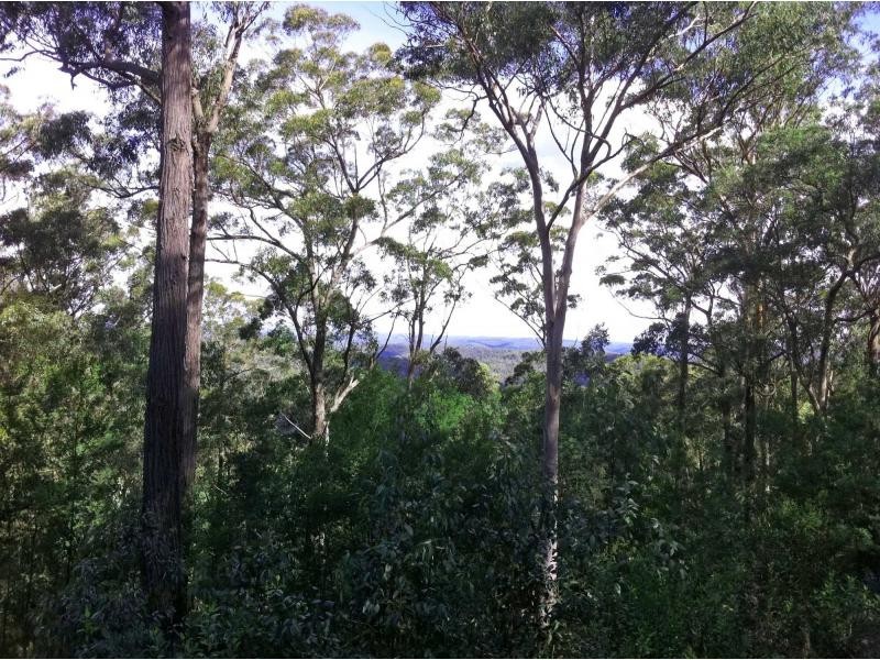 245 Budd Road, Cedar Creek NSW 2325