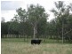 Lot 13 Old North Road, Pokolbin NSW 2320