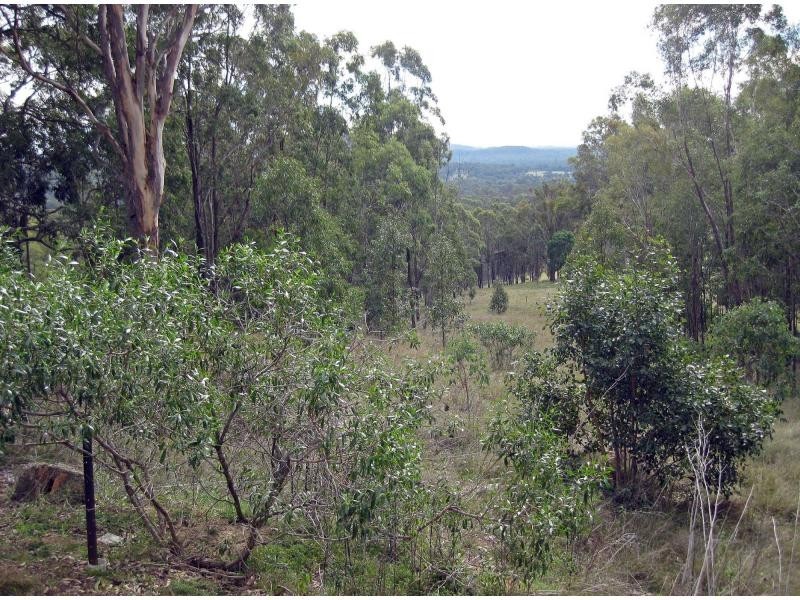 Lot 3 Wallaby Gully Road, Ellalong NSW 2325
