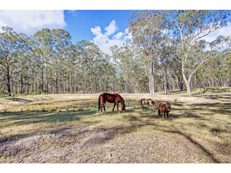 3 Irwin Close, Millfield NSW 2325