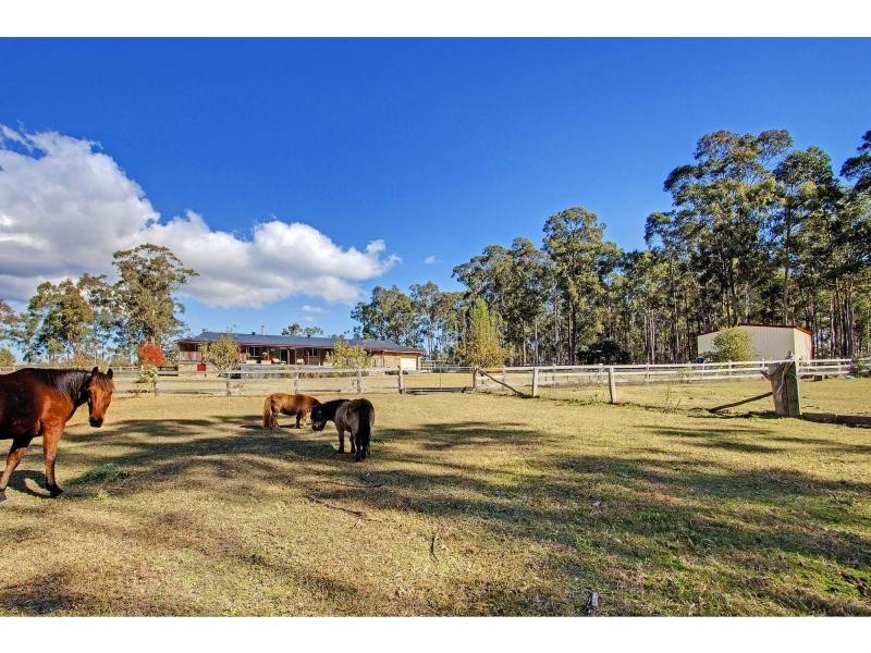 3 Irwin Close, Millfield NSW 2325