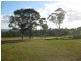818 Lovedale Road, Lovedale NSW 2325
