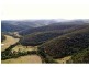 2480 Wollombi Road, Wollombi NSW 2325