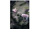 2480 Wollombi Road, Wollombi NSW 2325