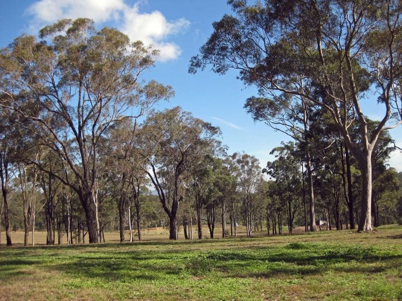 276 Tuckers Lane, Greta NSW 2334