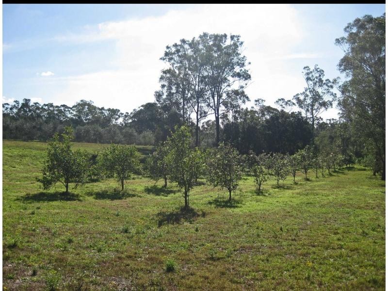 276 Tuckers Lane, Greta NSW 2334