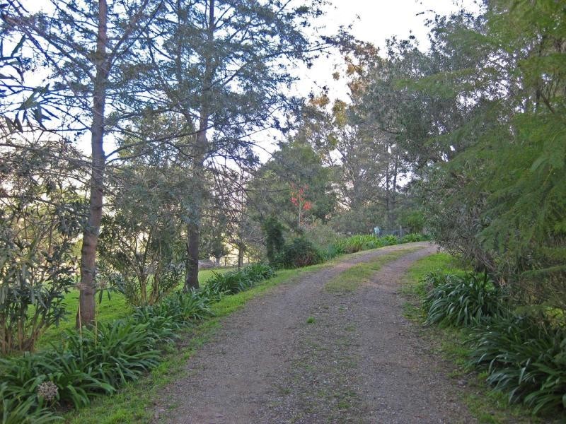 359 Sandy Creek Road, Mount Vincent NSW 2323