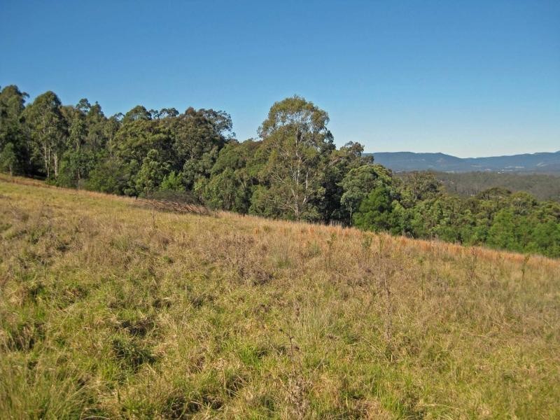 1227 Mount View Road, Mount View NSW 2325