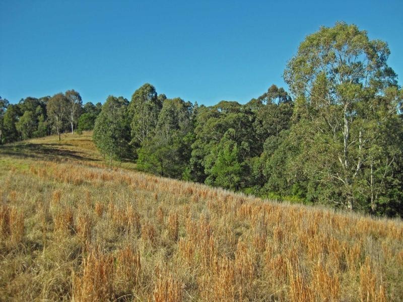 1227 Mount View Road, Mount View NSW 2325