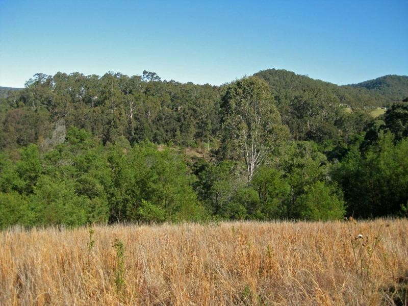 1227 Mount View Road, Mount View NSW 2325