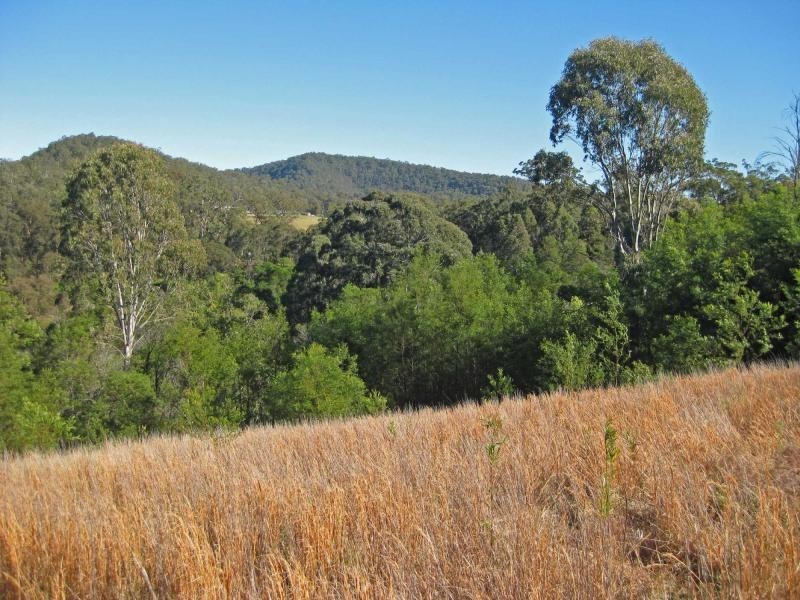 1227 Mount View Road, Mount View NSW 2325