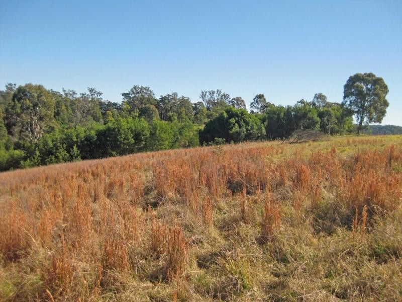 1227 Mount View Road, Mount View NSW 2325