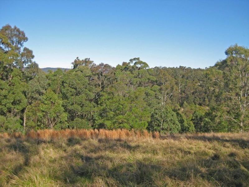 1227 Mount View Road, Mount View NSW 2325