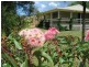 4 Londons Road, Lovedale NSW 2325