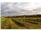 4 Londons Road, Lovedale NSW 2325