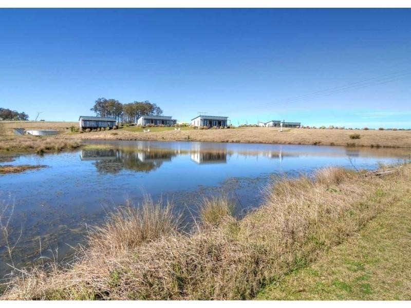 251 Talga Road, Lovedale NSW 2325