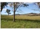 Lot 1 Dalwood Road, Dalwood NSW 2335