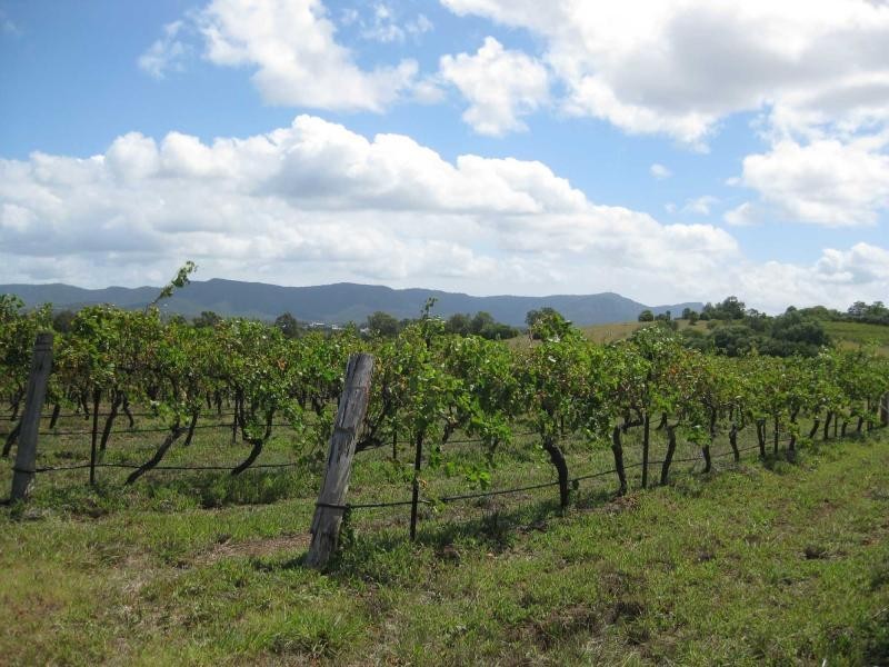 Lot 12 & 13 Wine Country Drive, Pokolbin NSW 2320