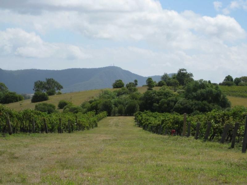 Lot 12 & 13 Wine Country Drive, Pokolbin NSW 2320