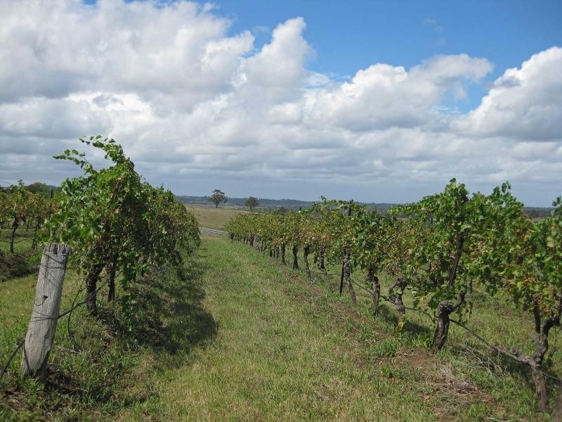 Lot 12 & 13 Wine Country Drive, Pokolbin NSW 2320