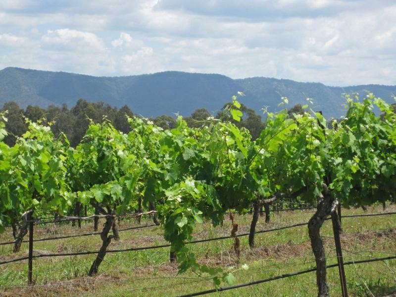 Lot 12 & 13 Wine Country Drive, Pokolbin NSW 2320