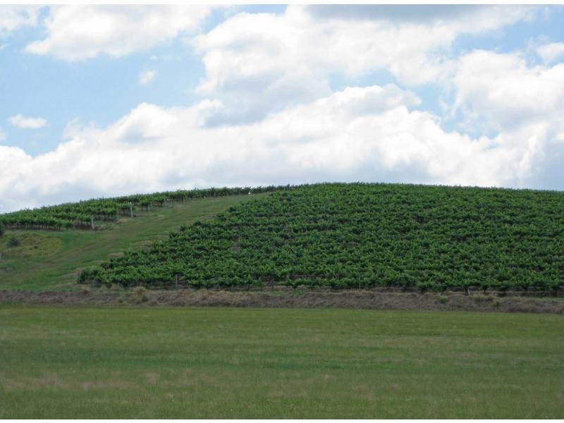 Lot 12 & 13 Wine Country Drive, Pokolbin NSW 2320