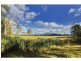 Lot 2,3 & 4 McDonalds Road, Pokolbin NSW 2320
