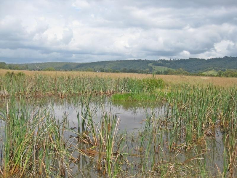 249 Sandy Creek Road, Mount Vincent NSW 2323