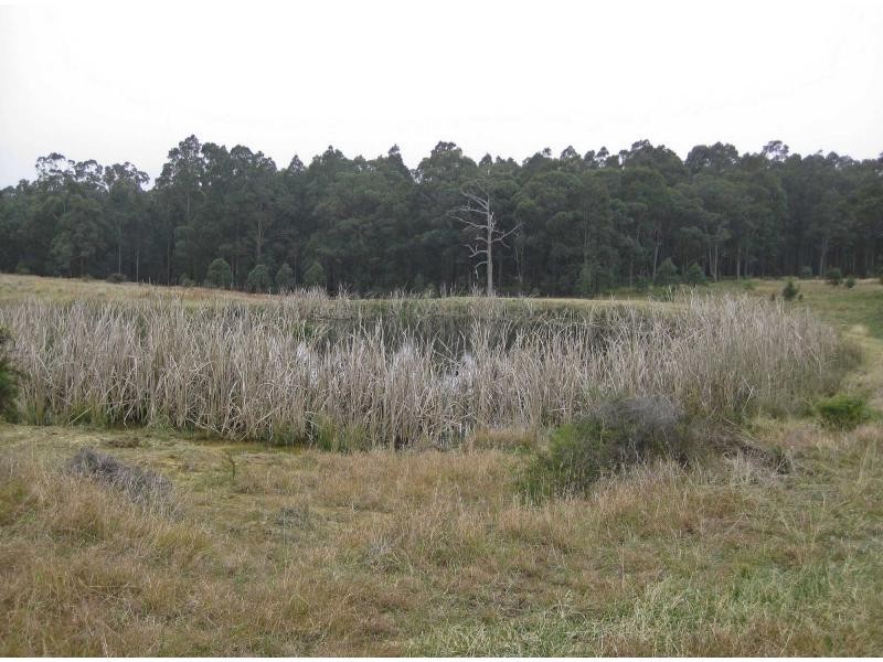 249 Sandy Creek Road, Mount Vincent NSW 2323