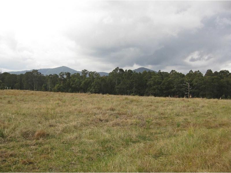 249 Sandy Creek Road, Mount Vincent NSW 2323