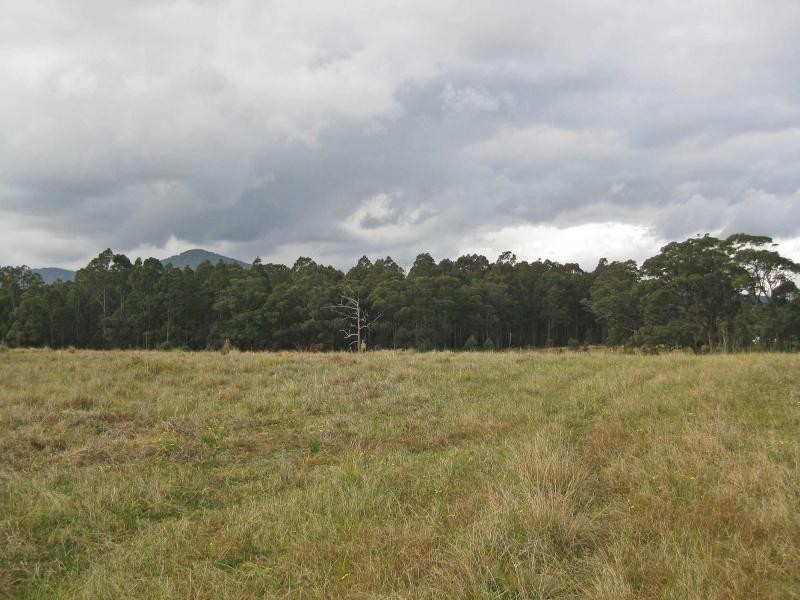 249 Sandy Creek Road, Mount Vincent NSW 2323