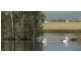 Proposed Lot 1 Sanctuary Lagoon, Congewai Road, Ellalong NSW 2325