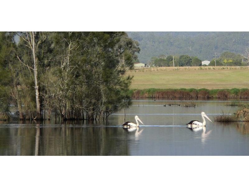 Proposed Lot 1 Sanctuary Lagoon, Congewai Road, Ellalong NSW 2325