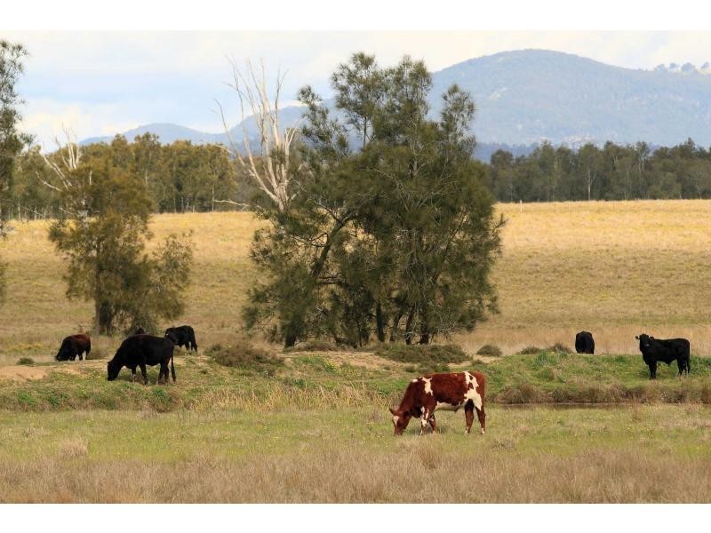 Lot 13 Old North Road, Pokolbin NSW 2320