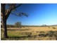 Lot 13 Old North Road, Pokolbin NSW 2320