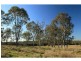 Lot 13 Old North Road, Pokolbin NSW 2320